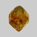Monazite - Ruisseau du Vallon Charretier - Les Adrets-de-l'Estérel - Var - FP - Taille 0,8mm