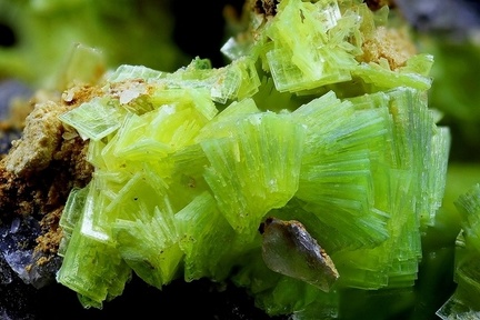 Autunite -  Kerler -  Lignol -  Morbihan