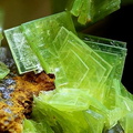 Autunite -  Kerler -  Lignol -  Morbihan
