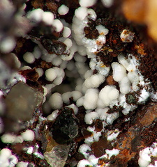 Wavellite - Fumade  - Castelanau de Brassac - Fontrieu - Castres - Tarn