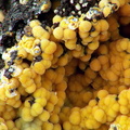 Wavellite - Fumade  - Castelanau de Brassac - Fontrieu - Castres - Tarn
