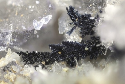 Covellite - Propières - Beaujeu - Rhône