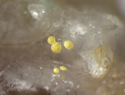 Atelestite - Faymont - Val-d'Ajol - Vosges