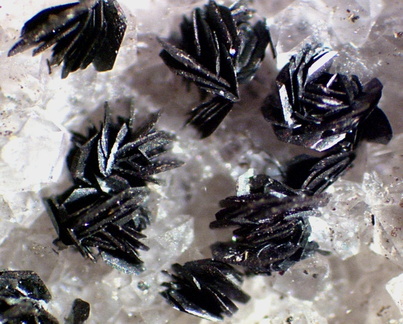 Hématite - Faymont - Val-d'Ajol - Vosges