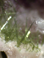 Olivenite - Faymont - Val-d'Ajol - Vosges