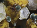 Parasymplesite Calcite - Ste Marie-aux-Mines - Haut-Rhin