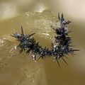 Acanthite - Carrière du Rivet - Montredon-Labessonié - Tarn