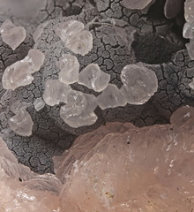 Calcite (mangano) - Carrière du Rivet - Montredon-Labessonié - Tarn