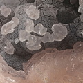 Calcite (mangano) - Carrière du Rivet - Montredon-Labessonié - Tarn