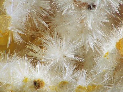  Wavellite - Fumade - Castelnau de Brassac - Fontrieu - Castres - Tarn