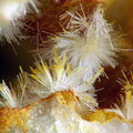 Wavellite - Fumade - Castelnau de Brassac - Fontrieu - Castres - Tarn