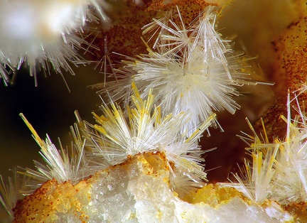  Wavellite - Fumade - Castelnau de Brassac - Fontrieu - Castres - Tarn