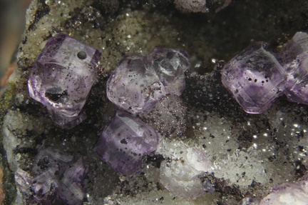 Fluorite -  Les Meix - Vosges