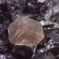 Fluorite - Carrière du Rivet - Montredon-Labessonié - Tarn