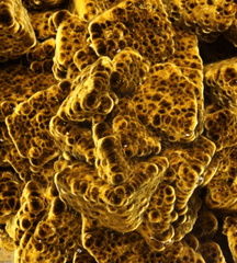 Goethite "velours" - Carrière du Rivet - Montredon-Labessonié - Tarn