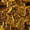 Goethite "velours" - Carrière du Rivet - Montredon-Labessonié - Tarn