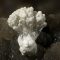 Mimétite sur mangano calcite - Carrière du Rivet - Montredon-Labessonié - Tarn