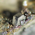 Polybasite - Carrière du Rivet - Montredon-Labessonié - Tarn