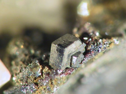Polybasite - Carrière du Rivet - Montredon-Labessonié - Tarn