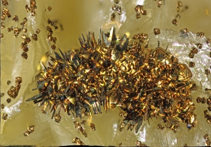 Pyrite hérisson - Carrière du Rivet - Montredon-Labessonié - Tarn