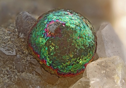 Pyrite irisée - Carrière du Rivet - Montredon-Labessonié - Tarn