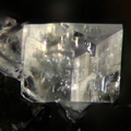 Orthoclase - Carrière du Rivet - Montredon-Labessonié - Tarn