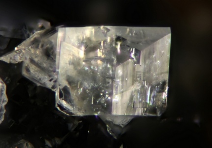 Orthoclase - Carrière du Rivet - Montredon-Labessonié - Tarn