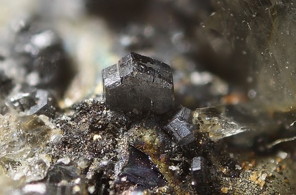 Polybasite - Carrière du Rivet - Montredon-Labessonié - Tarn