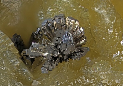 Arsénopyrite - Carrière du Rivet - Montredon-Labessonié - Tarn