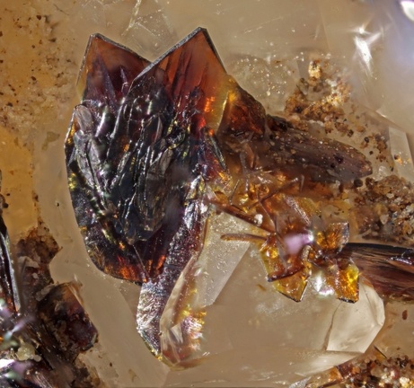Descloizite - Carrière du Rivet - Montredon-Labessonié - Tarn