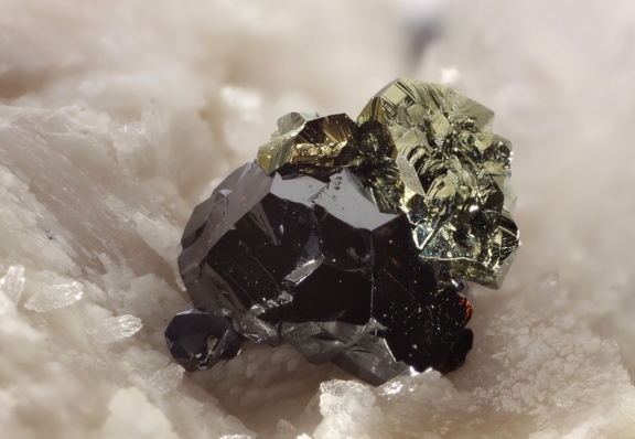 Chalcopyrites sur sphalerite - Carrière du Rivet - Montredon-Labessonié - Tarn