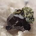 Chalcopyrites sur sphalerite - Carrière du Rivet - Montredon-Labessonié - Tarn