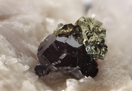 Chalcopyrites sur sphalerite - Carrière du Rivet - Montredon-Labessonié - Tarn