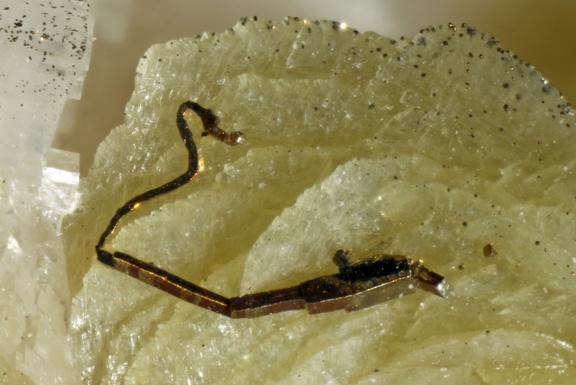 Pyrite vipérine - Carrière du Rivet - Montredon-Labessonié - Tarn