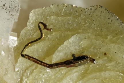 Pyrite vipérine - Carrière du Rivet - Montredon-Labessonié - Tarn