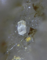 Bertrandite - Lentilly - Rhône
