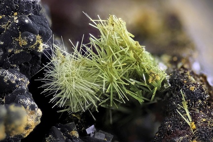Olivenite - Le Franciman - Paulinet - St Jean de Jeannes - Tarn 