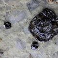 N° 16 - Andradite - Carr. Liocamp - Menet - Cantal