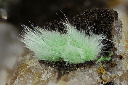 Agardite - Le Bastit - Najac - Aveyron