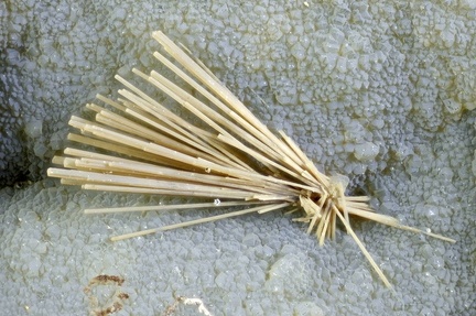 Natrolite -  Puech de Vermus - Espalion - Aveyron