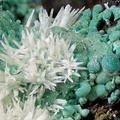 Aragonite Malachite - Valcroze - Alzon - Gard