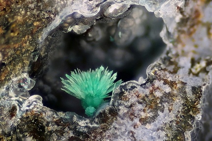 Malachite - Valcroze - Alzon - Gard