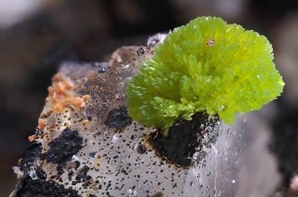 Mimetite - Lantignié - Rhône