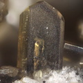 n°163133 - Amphibole - Roc de Courlande - Chastreix - Puy-de-Dôme