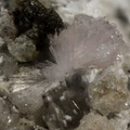 n°168034 - Pharmacolite - St Jacques - Giftgrube (mine) - Sainte Marie aux Mines - Haut-Rhin
