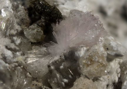 n°168034 - Pharmacolite - St Jacques - Giftgrube (mine) - Sainte Marie aux Mines - Haut-Rhin