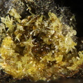 n°168039 - Vauquelinite Mimetite - Bluttenberg (mine) -	Lapoutroie - Haut-Rhin