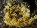 n°168039 - Vauquelinite Mimetite - Bluttenberg (mine) -	Lapoutroie - Haut-Rhin