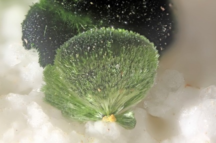 n°168043 - Olivenite - Osenbach - Rouffach - Haut-Rhin