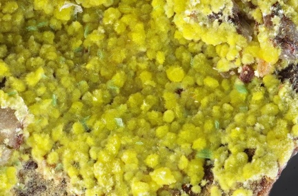 n°142081 - Uranophane-alpha  Autunite - Le Limouzat (Mine) - Saint Priest La Prugne - Loire